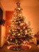 christmas tree :)